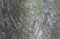 Little Poulton fibreglass roof work